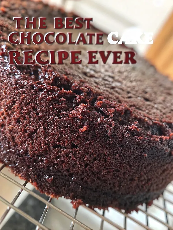 THE BEST CHOCOLATE CAKE RECIPE {EVER}
