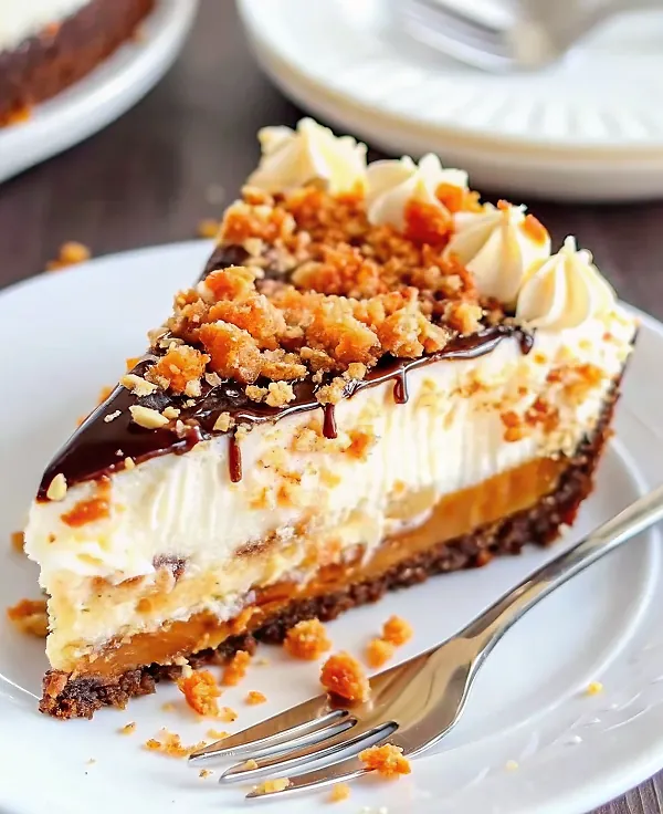 SAMOA CHEESECAKE