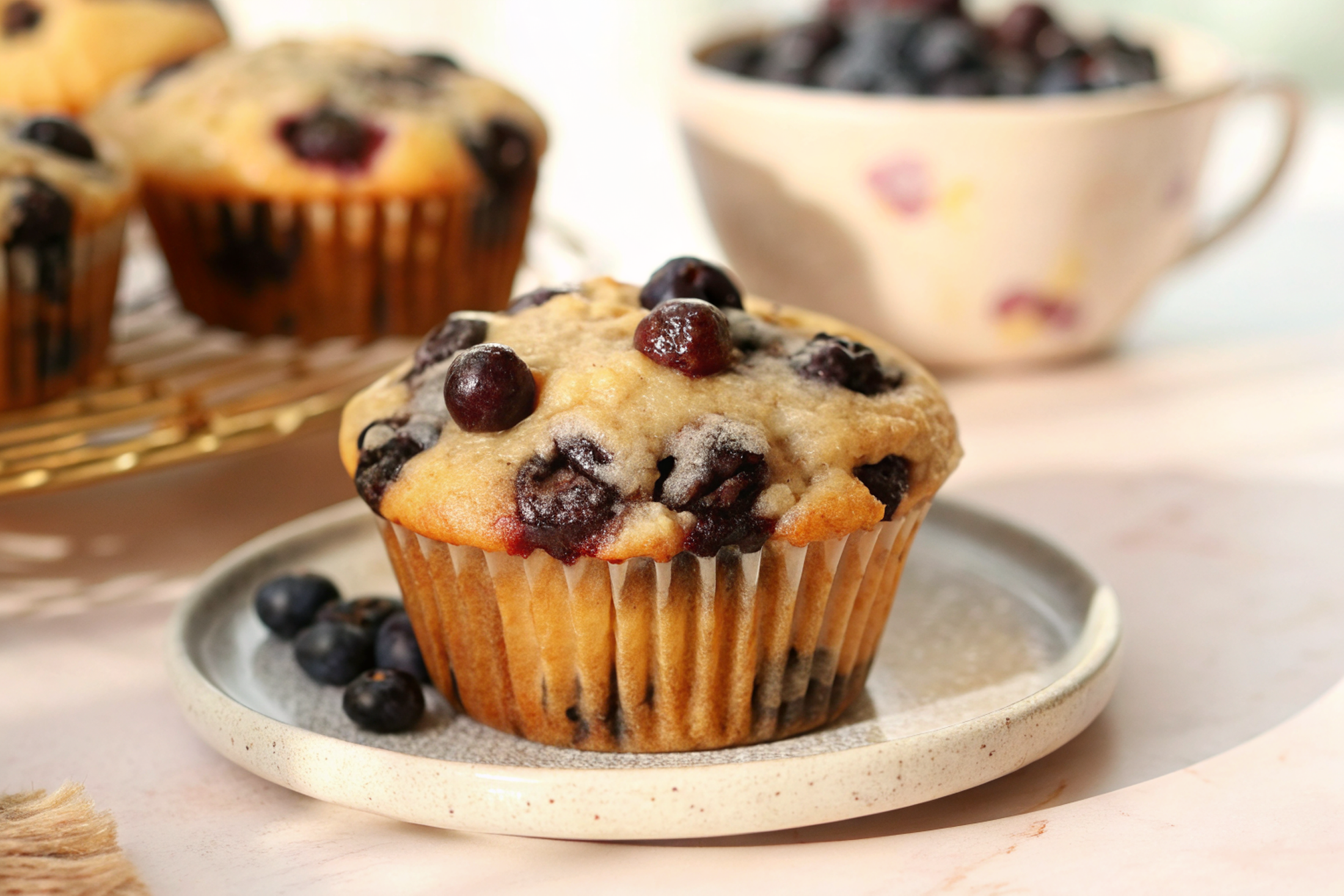 Fluffy One-Bowl Blueberry Greek Yogurt Muffins (5g protein!)